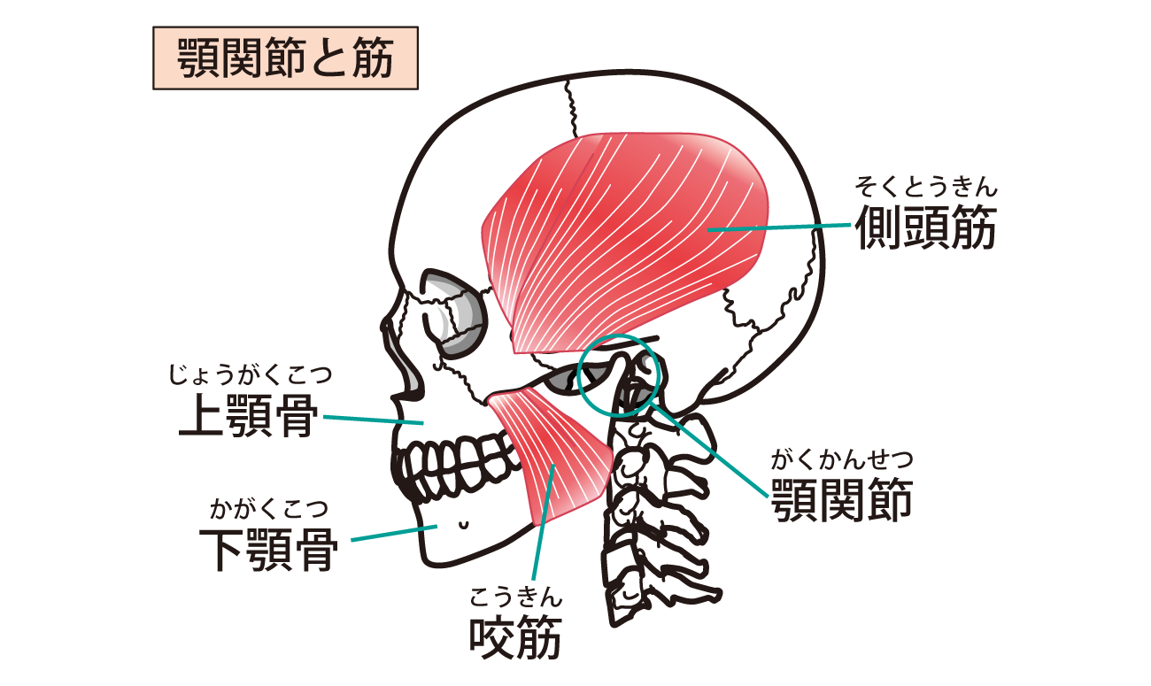 顎関節症の治療